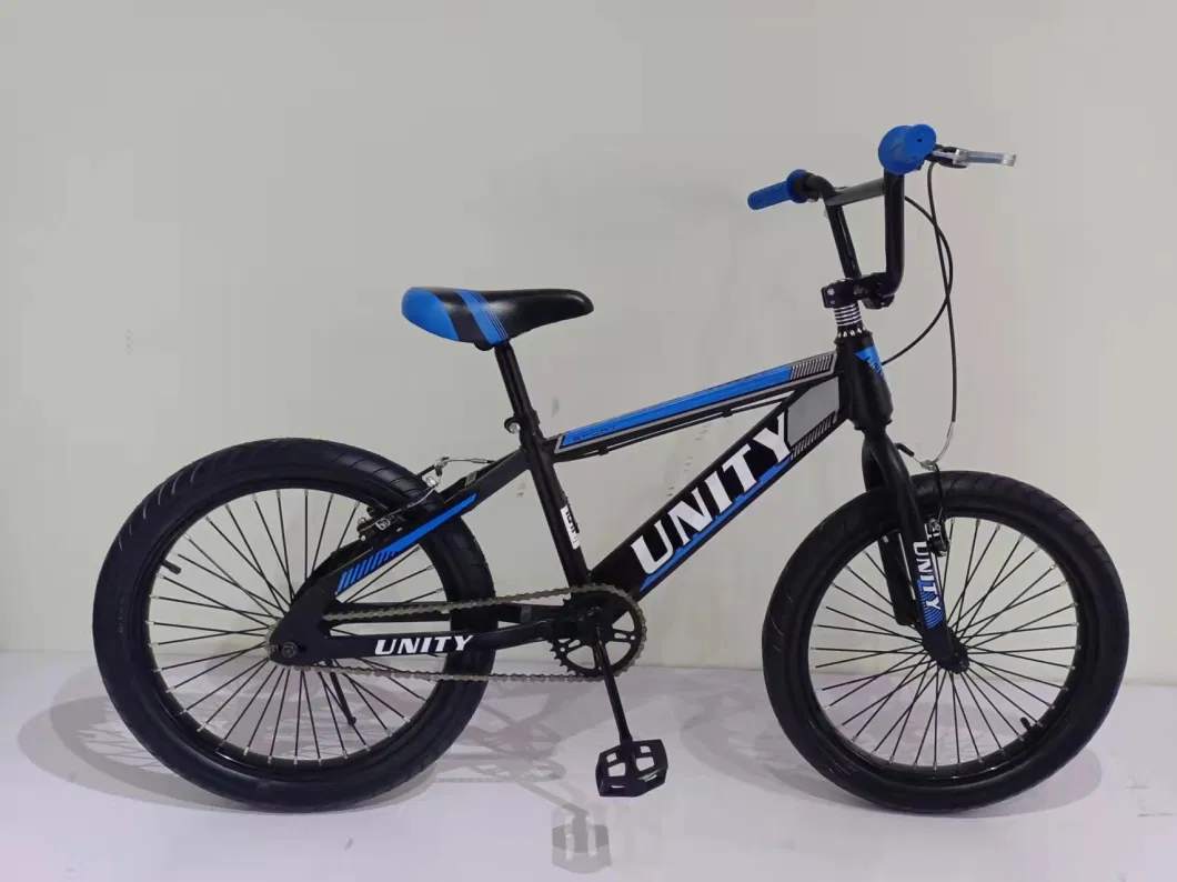 Freestyle 20" BMX Bicycle with Disc-Brake Bicicleta BMX Hc-BMX-045