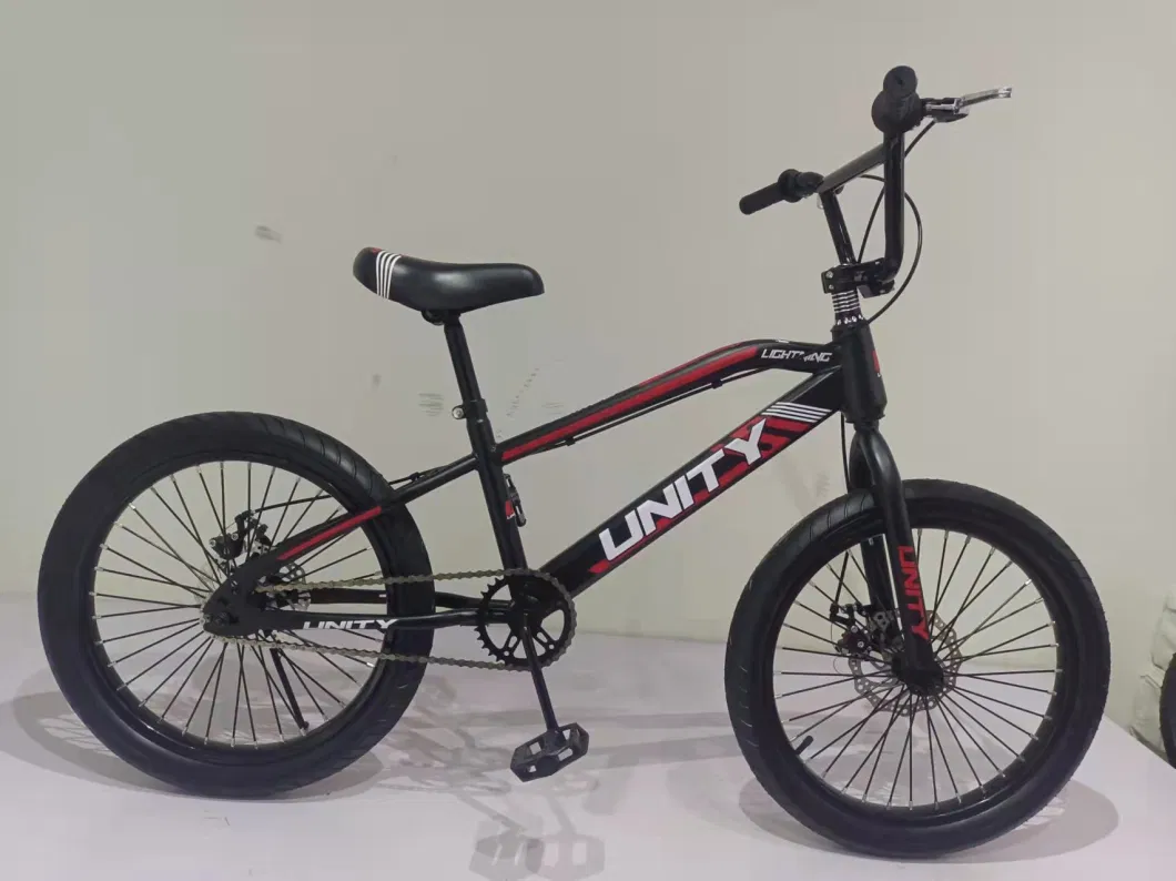Freestyle 20" BMX Bicycle with Disc-Brake Bicicleta BMX Hc-BMX-045