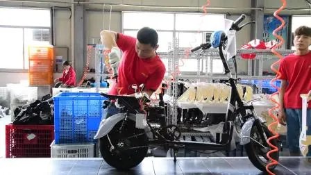 OEM chino de la bici de la bicicleta del marco de acero de la bicicleta BMX de 20 pulgadas